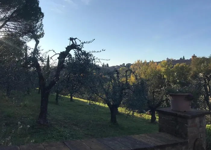 La Perla Tra Gli Ulivi * Sienne